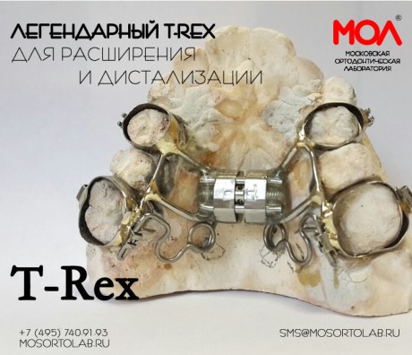 Ти-Рекс (T-Rex)